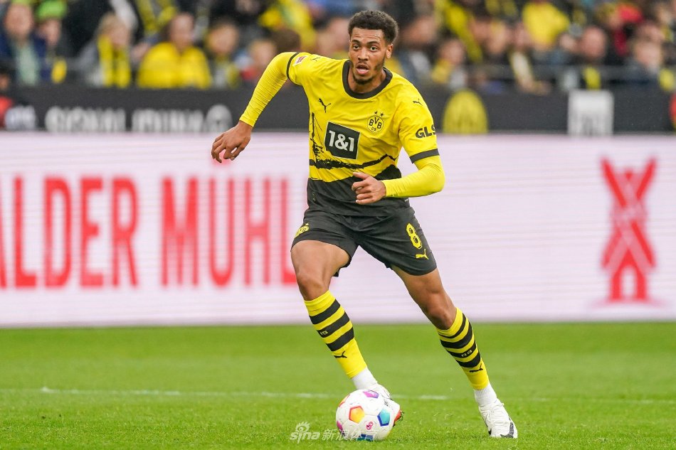 借其稳健的 借其稳健的